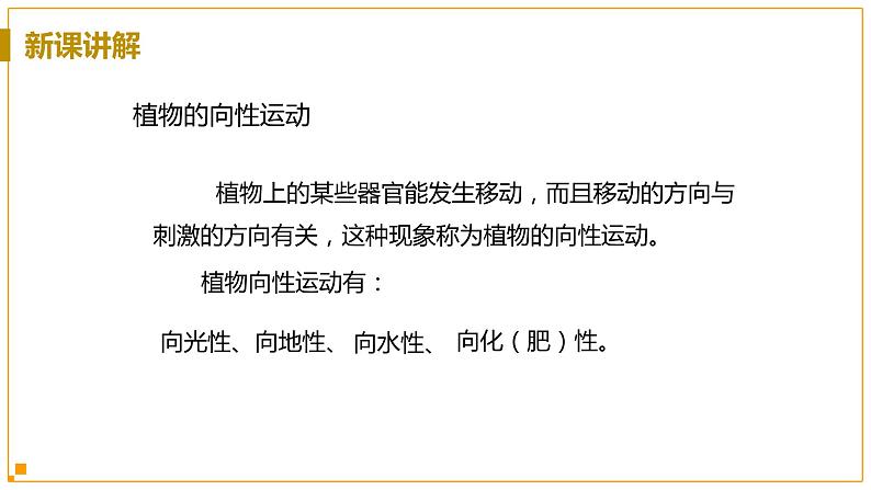 浙教版科学8年级上册 第3章 第1节  植物生命活动的调节 PPT课件+教案+习题08