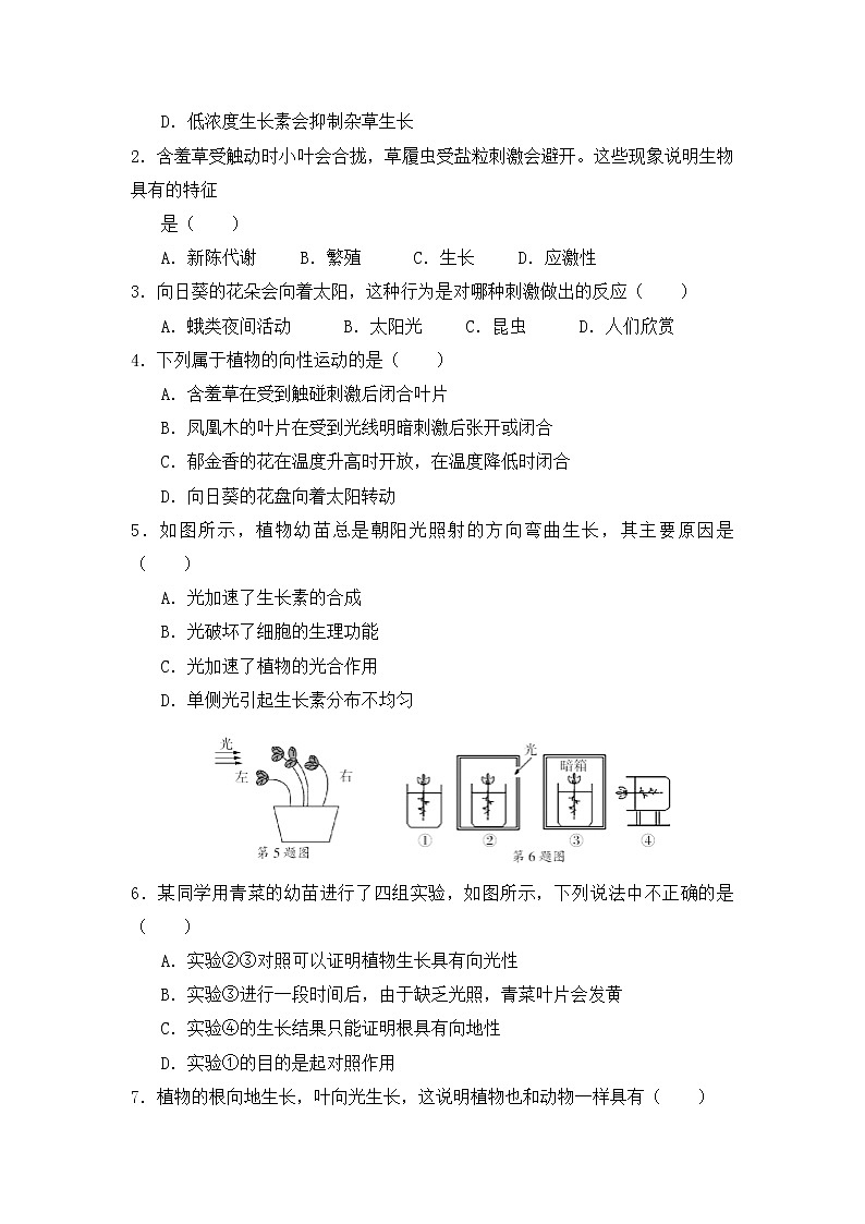 浙教版科学8年级上册 第3章 第1节  植物生命活动的调节 PPT课件+教案+习题02