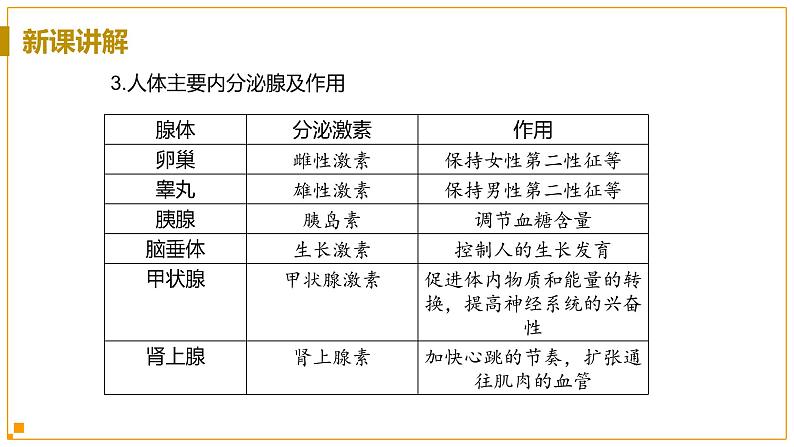 浙教版科学8年级上册 第3章 第2节  人体的激素调节 PPT课件+教案+习题08