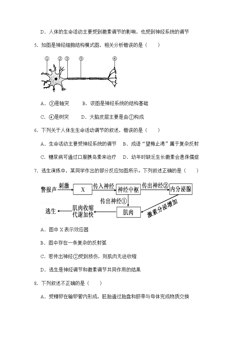 浙教版科学8年级上册 第3章 第3节  神经调节 PPT课件+教案+习题02