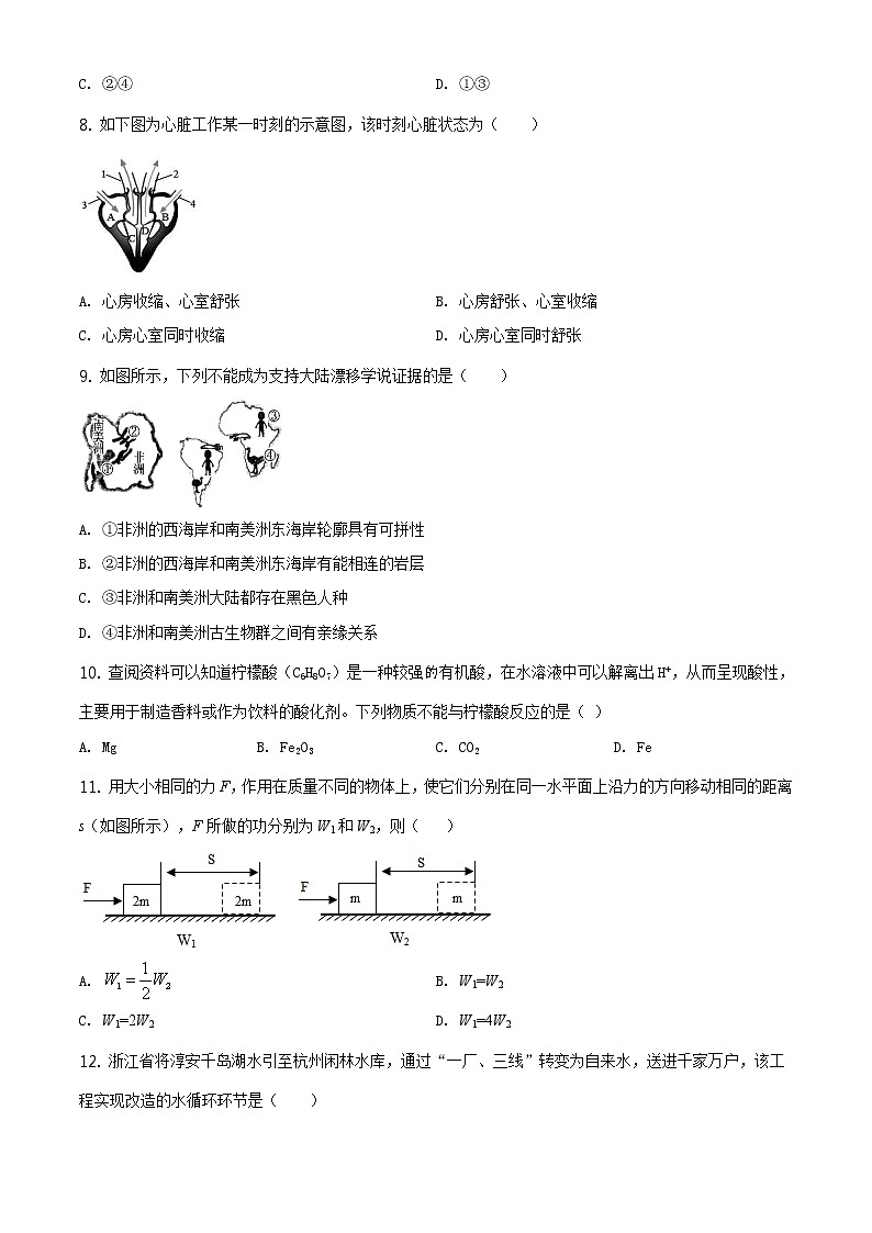 浙教版科学九年级上册  期中测试卷403