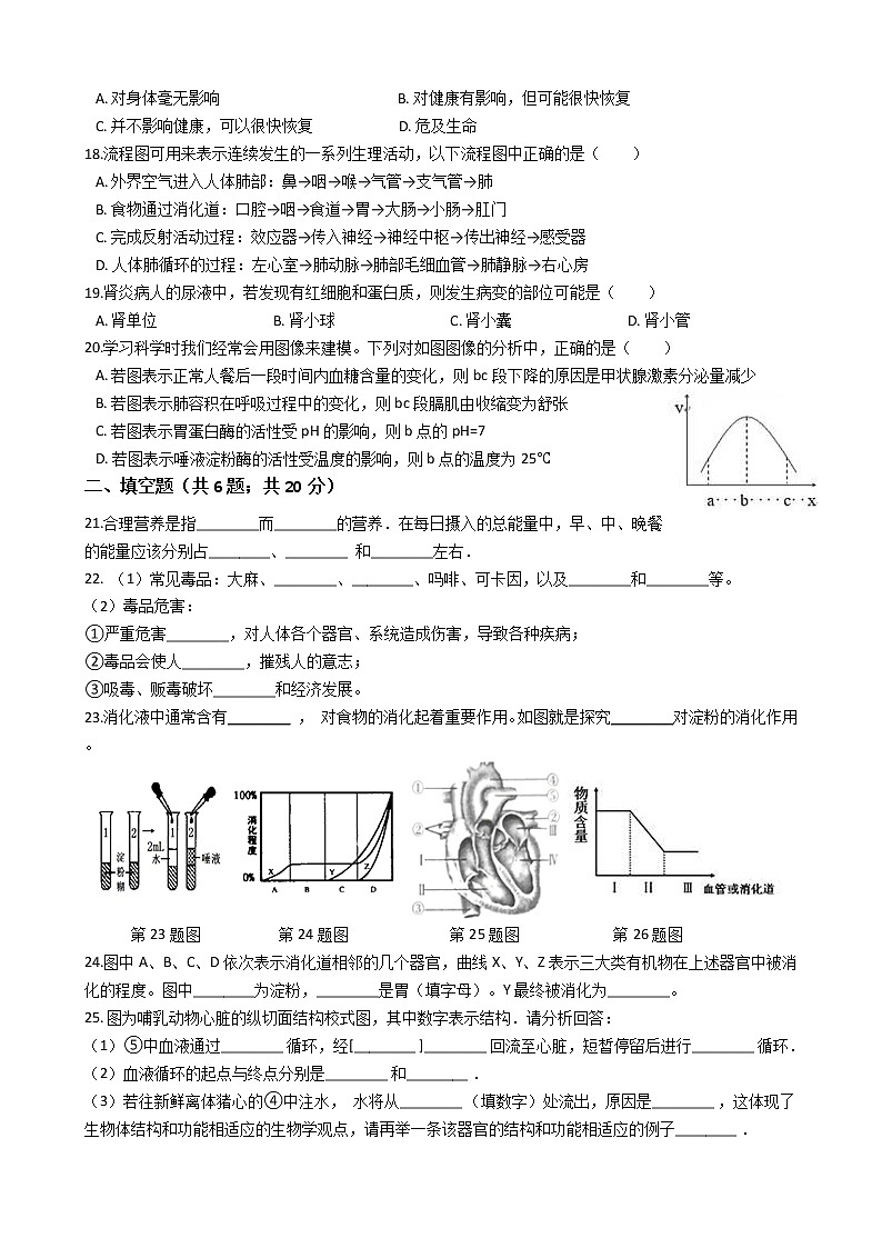 浙教版科学九年级上册 第4章  代谢与平衡 章末测试卷03