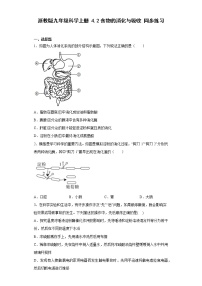 浙教版九年级上册第2节 食物的消化与吸收综合训练题