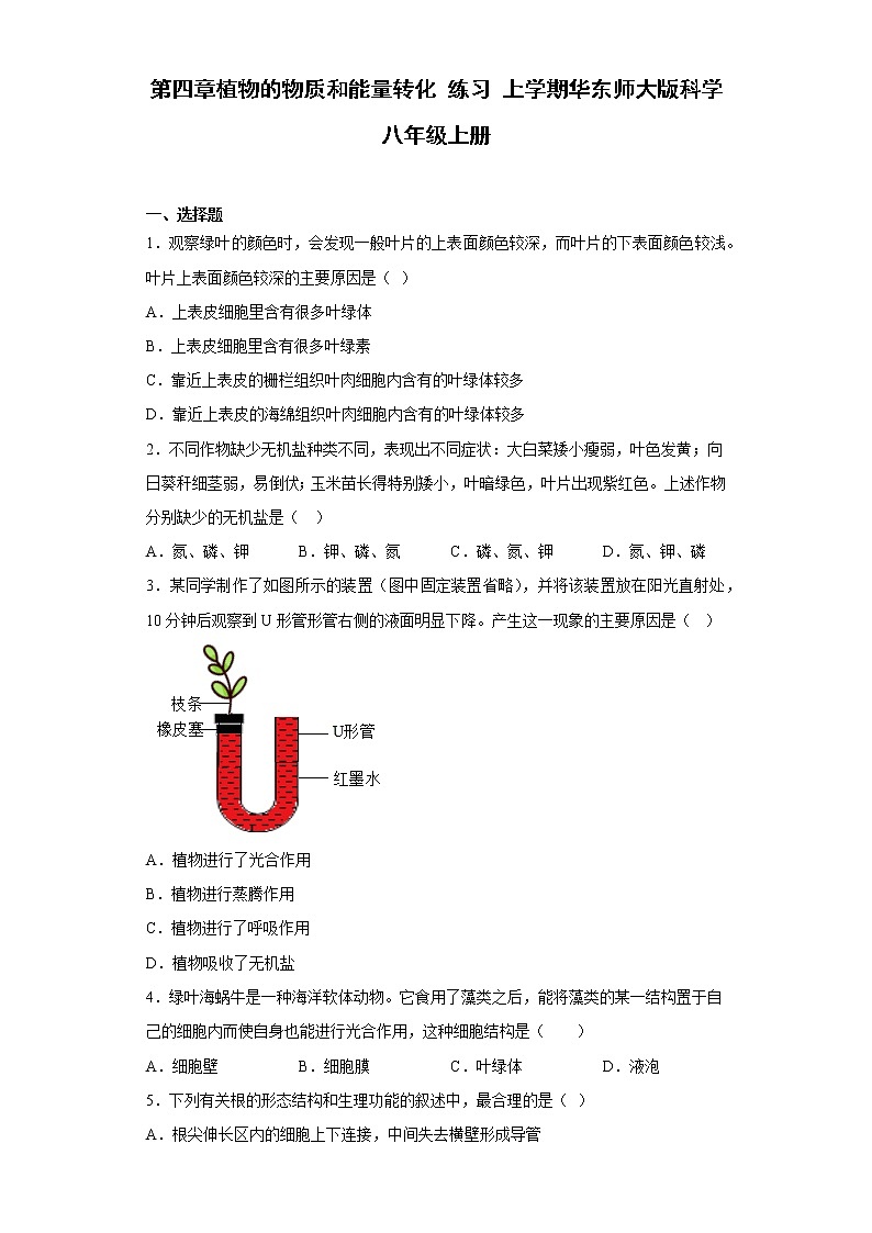 第四章植物的物质和能量转化 练习 华东师大版科学八年级上册01