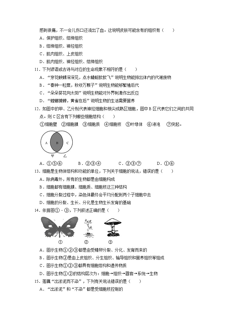 浙江省杭州市钱江区城东区2022-2023学年上学期七年级期中学情调研科学试卷03