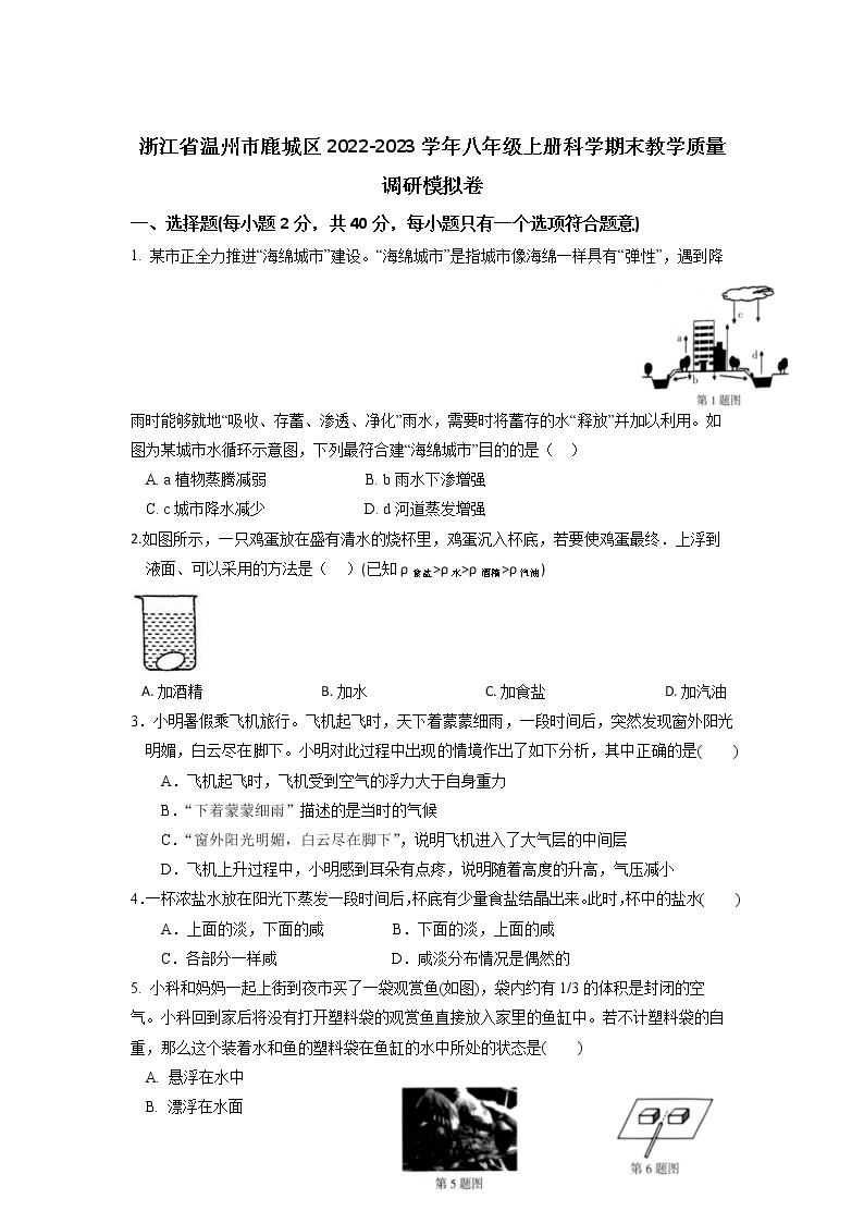 浙江省温州市鹿城区2022-2023学年八年级上册科学期末教学质量调研模拟卷01