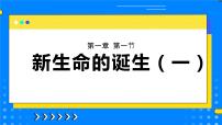 初中科学浙教版七年级下册第1节 新生命的诞生评优课ppt课件