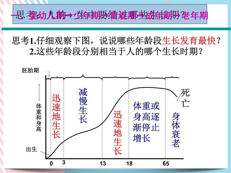 1.2走向成熟 课件03