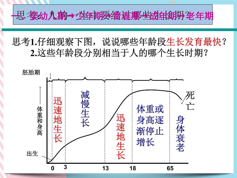 1.2走向成熟 课件03