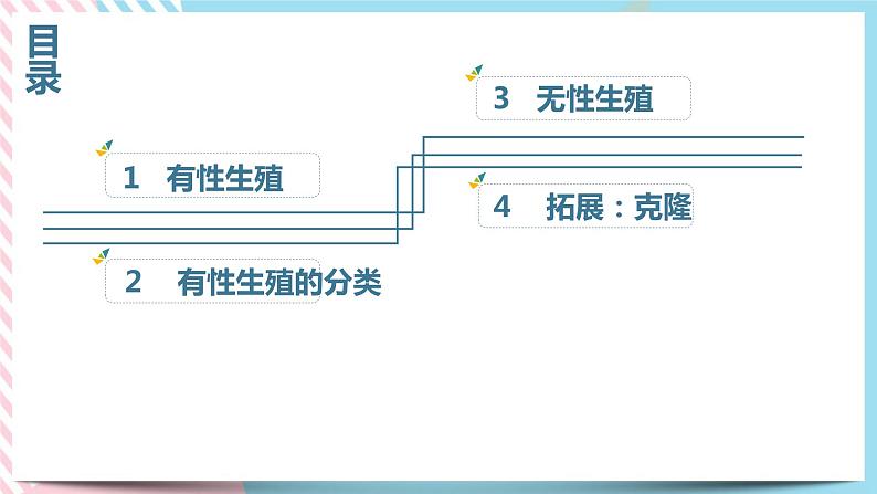 1.3.2动物的生长时期 第二课时 课件03