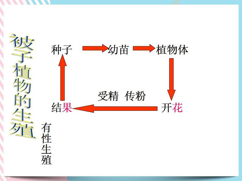 1.5植物生殖方式的多样性第2课时第2页