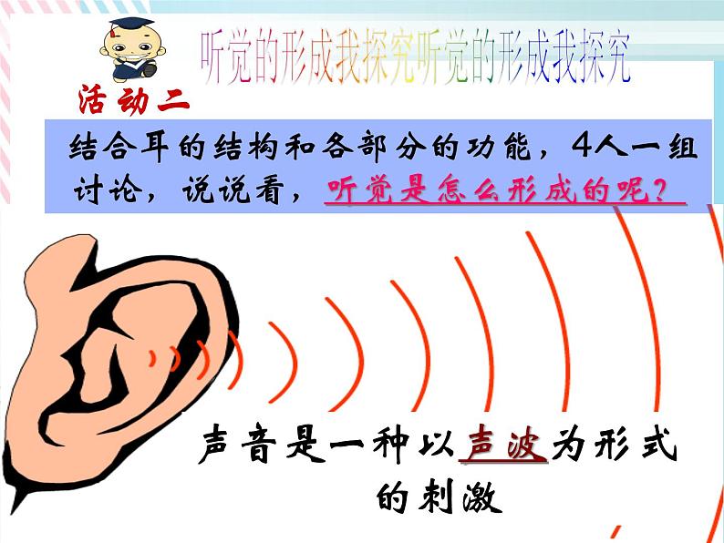 2.3耳和听觉 课件第6页
