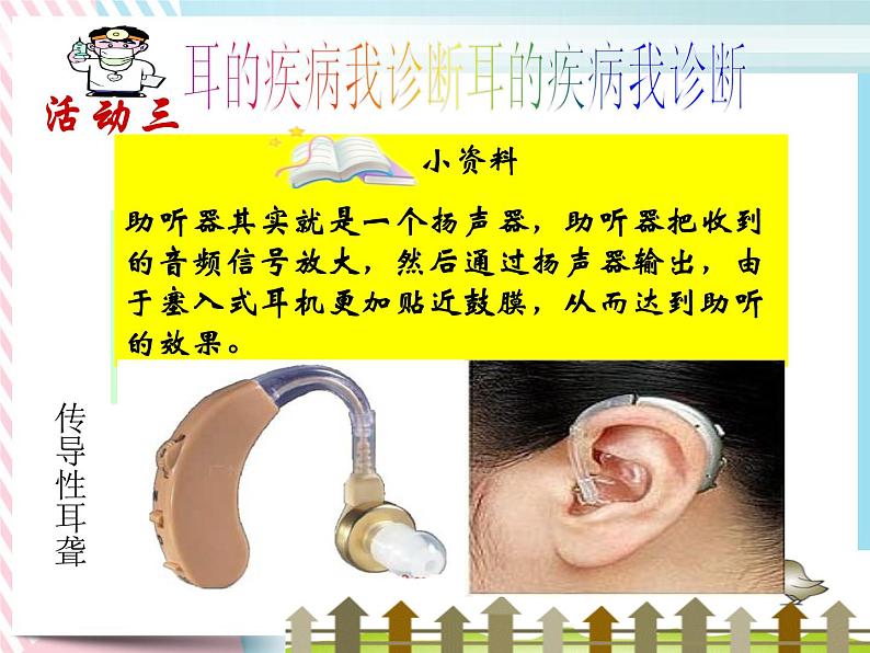 2.3耳和听觉 课件第7页