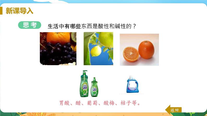 九科浙上 第1章 第2节  物质的酸碱性 PPT课件+教案+预习作业+补充作业05