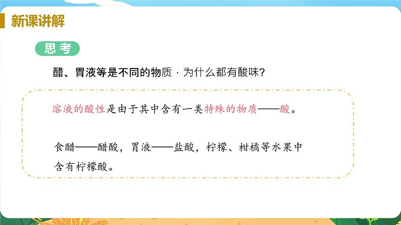 九科浙上 第1章 第2节  物质的酸碱性 PPT课件+教案+预习作业+补充作业08