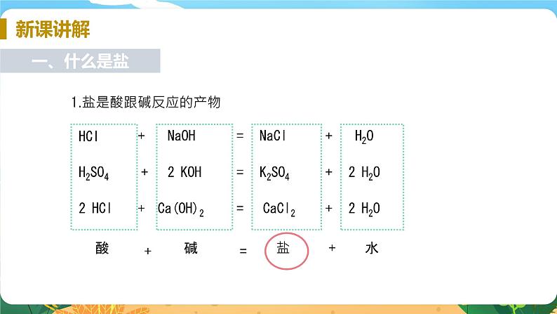 九科浙上 第1章 第6节  几种重要的盐 PPT课件+教案+预习作业+补充作业05