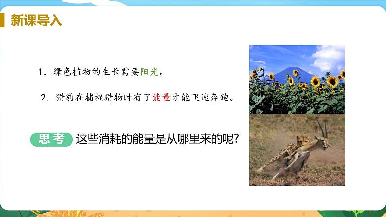 九科浙上 第4章 第1节  食物与营养 PPT课件+教案+预习作业+补充作业04