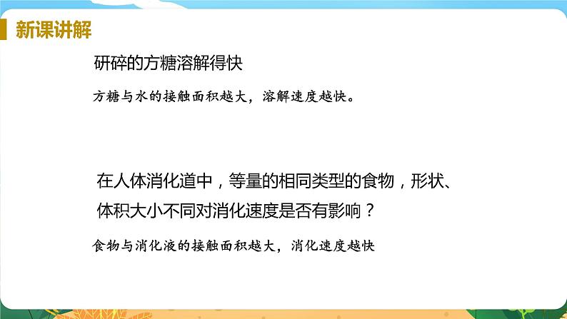 九科浙上 第4章 第2节  食物的消化与吸收 PPT课件+教案+预习作业+补充作业08