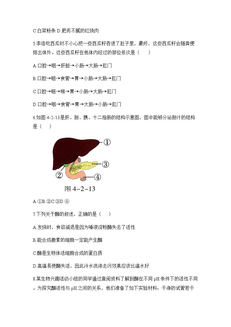 九科浙上 第4章 第2节  食物的消化与吸收 PPT课件+教案+预习作业+补充作业02