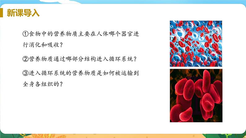 九科浙上 第4章 第3节  体内物质的运输 PPT课件+教案+预习作业+补充作业04