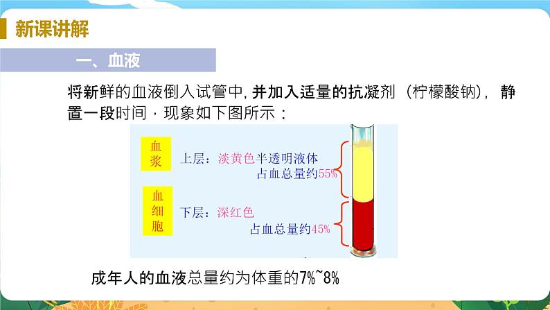九科浙上 第4章 第3节  体内物质的运输 PPT课件+教案+预习作业+补充作业05