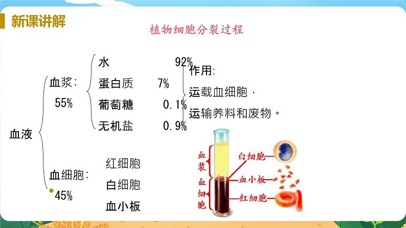 九科浙上 第4章 第3节  体内物质的运输 PPT课件+教案+预习作业+补充作业06