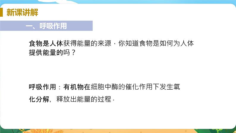 九科浙上 第4章 第4节  能量的获得 PPT课件+教案+预习作业+补充作业05