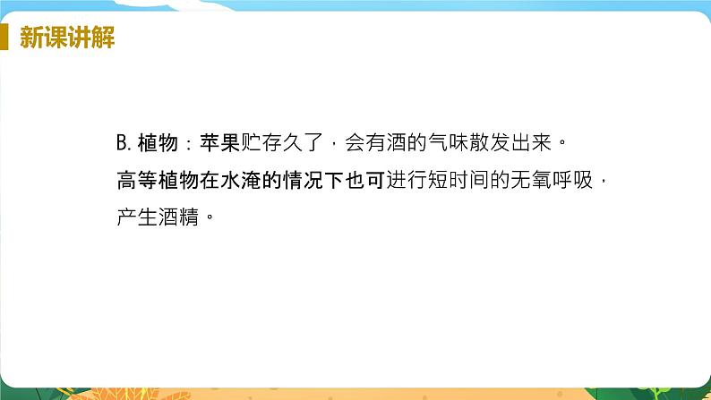 九科浙上 第4章 第4节  能量的获得 PPT课件+教案+预习作业+补充作业08