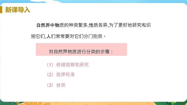 九科浙上 第2章 第4节  物质的分类 PPT课件+教案+预习作业+补充作业05