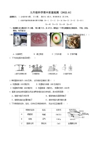 浙江省义乌市宾王中学2022-2023学年第一学期九年级科学期中考试卷（Word版无答案）