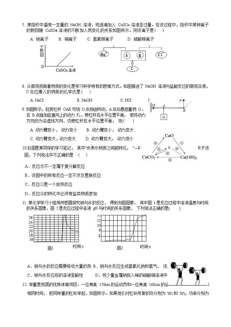 浙江省义乌市宾王中学2022-2023学年第一学期九年级科学期中考试卷（Word版无答案）03