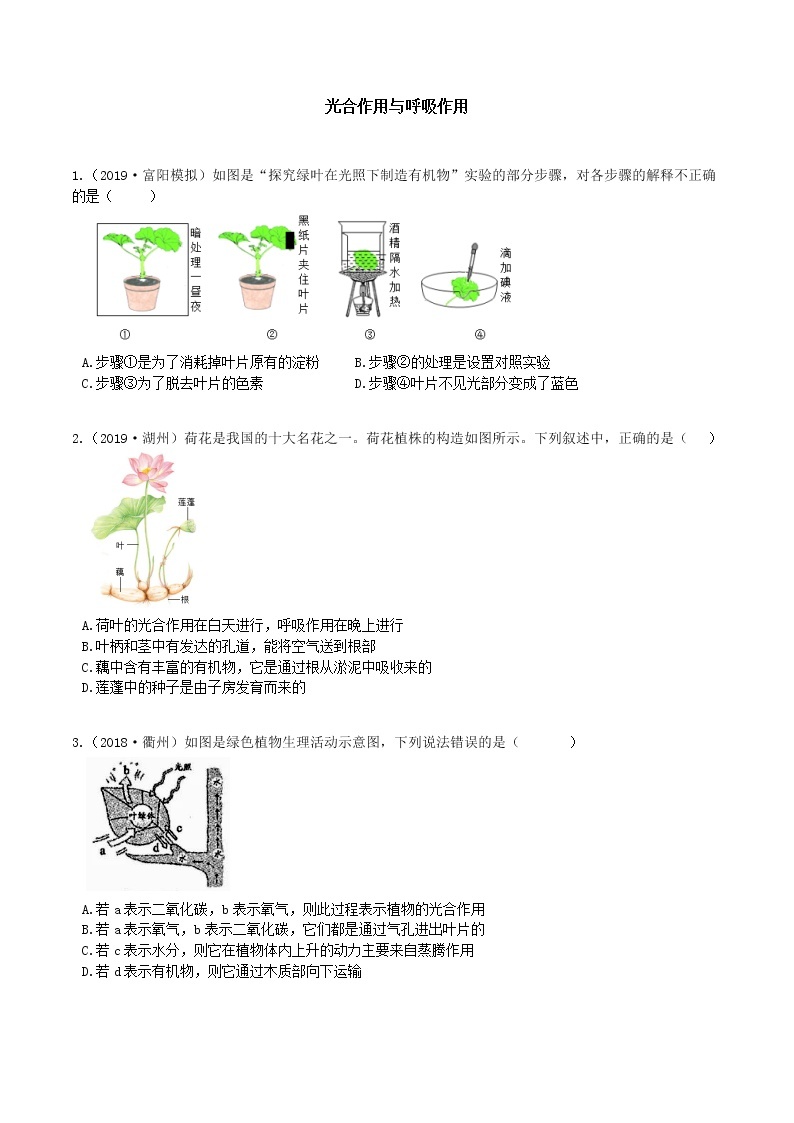 【寒假培优】10 植物的光合作用和呼吸作用（原卷+答案版）—2021届浙教版中考科学重难点专题集训01