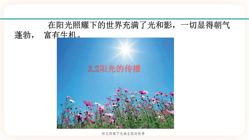 HS版七下3.2阳光的传播第2页