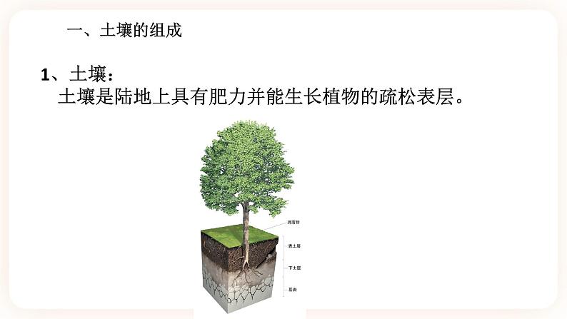 4.1土壤的组成和性状（课件+预学案+练习）03