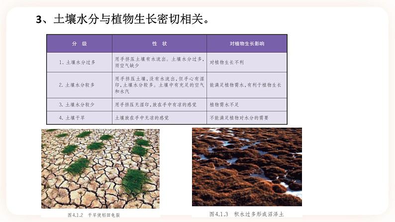 4.1土壤的组成和性状（课件+预学案+练习）07