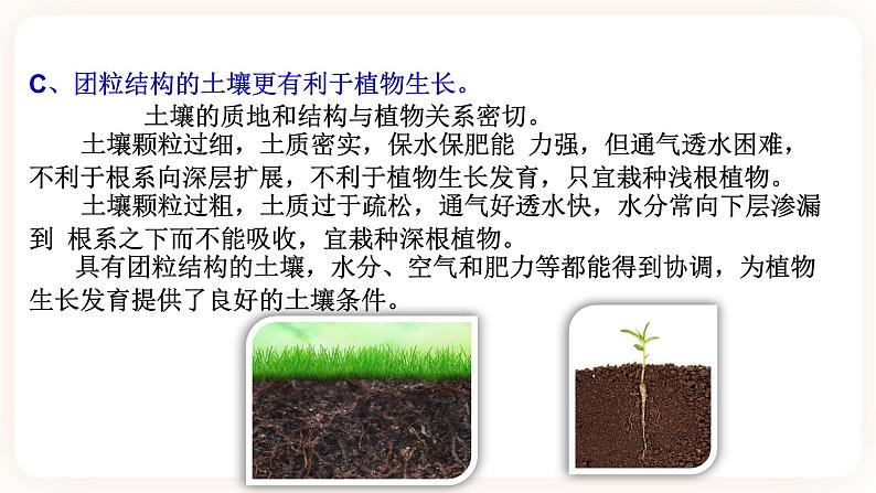 HS版七下4.2土壤与植物第6页