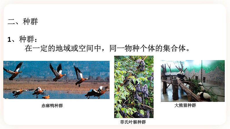 5.1种群和群落（课件+预学案+练习）04