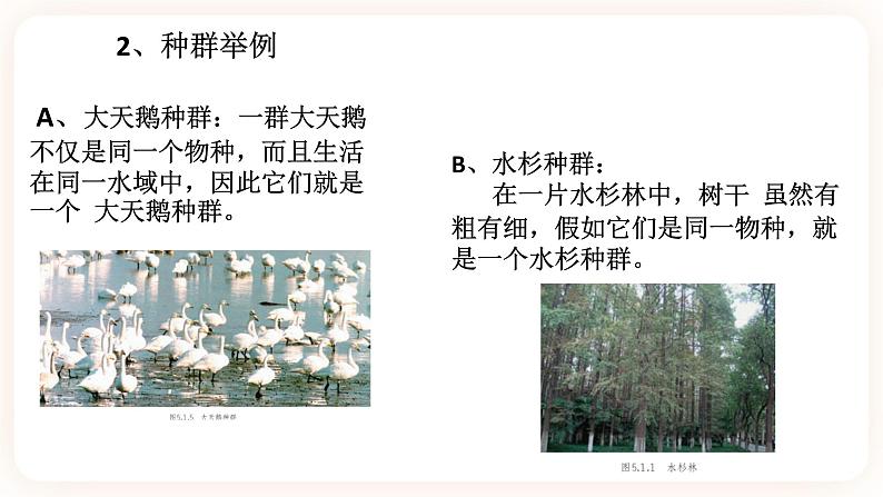 5.1种群和群落（课件+预学案+练习）05