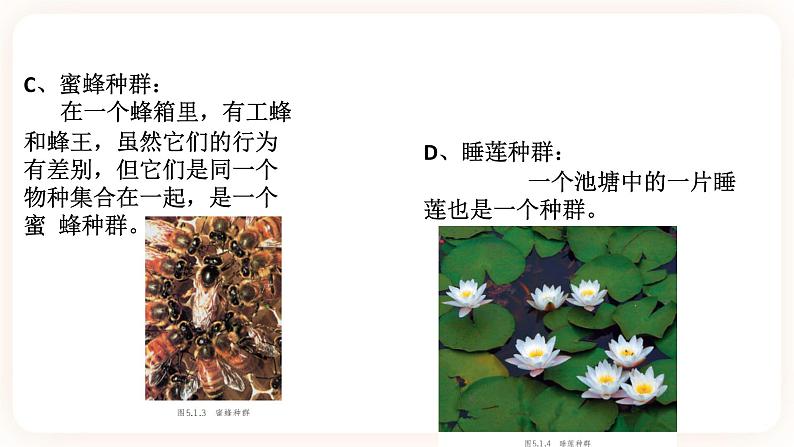 5.1种群和群落（课件+预学案+练习）06