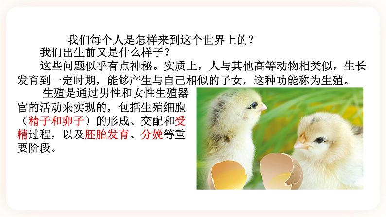 HS版七下6.2人的生殖与发育（1）第2页