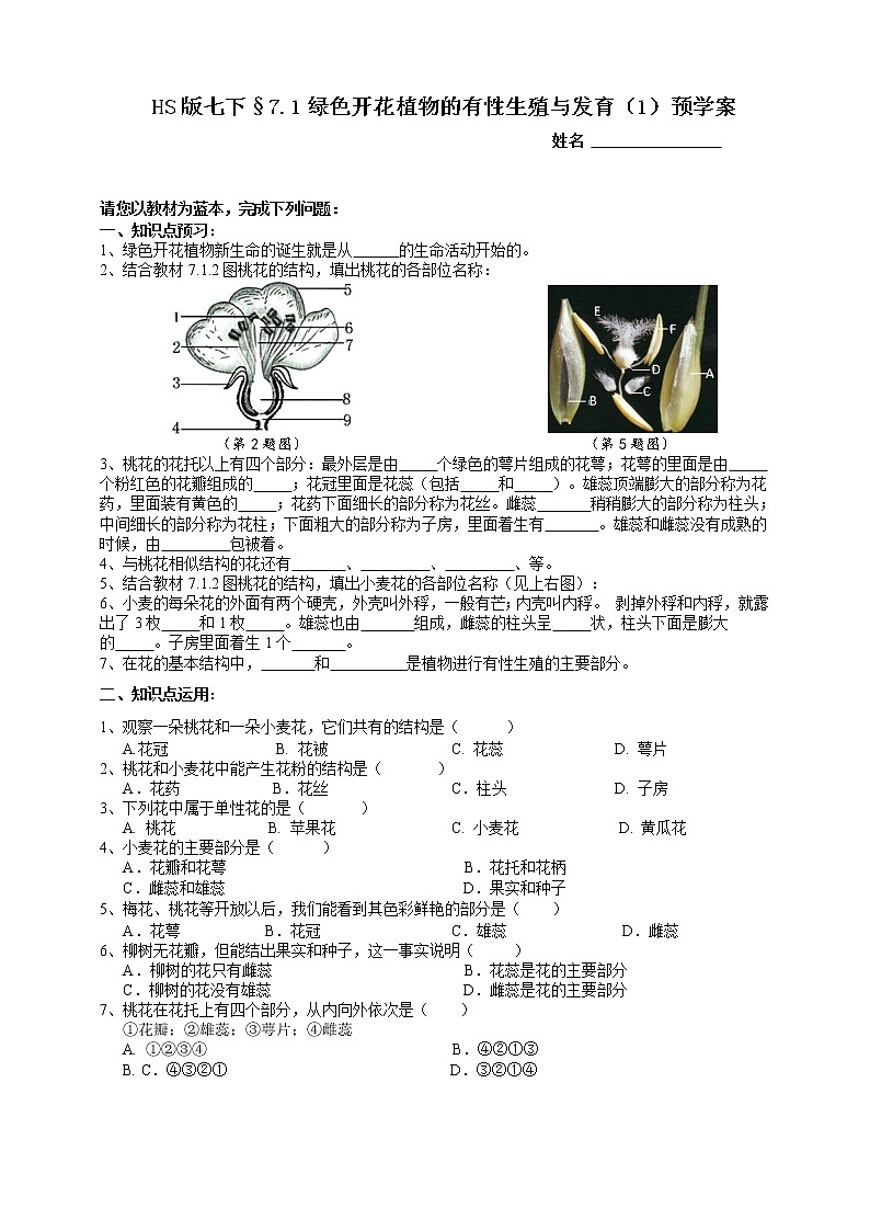 7.1绿色开花植物的有性生殖和发育 第1课时（课件 +预学案+练习）01