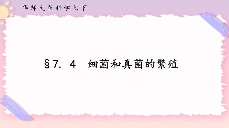 HS版七下7.4细菌和真菌的繁殖第1页