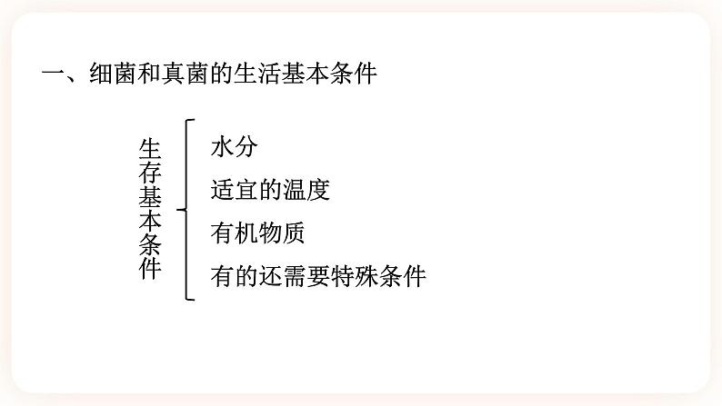 HS版七下7.4细菌和真菌的繁殖第4页