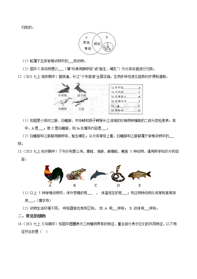 【期末培优冲刺】浙教版科学七年级上册-专题04《常见的动植物与微生物》（原卷版）第3页