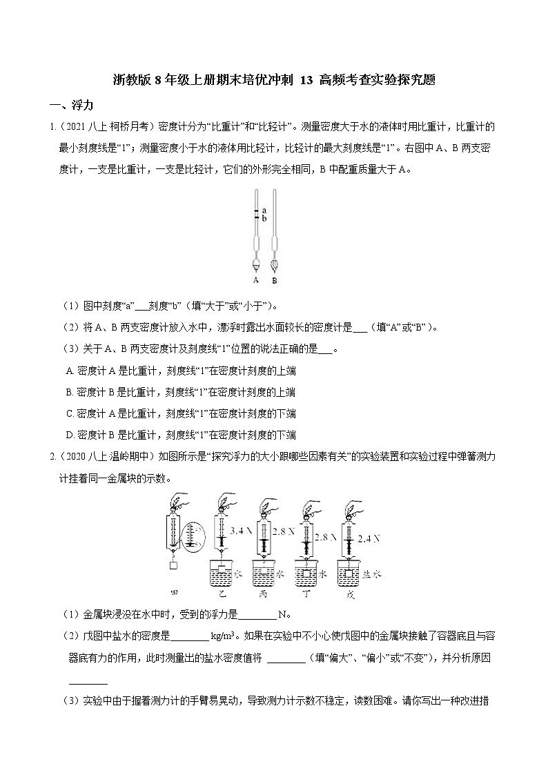 【期末满分冲刺】浙教版科学八年级上册：专题13《高频考查实验探究题》期末培优冲刺01