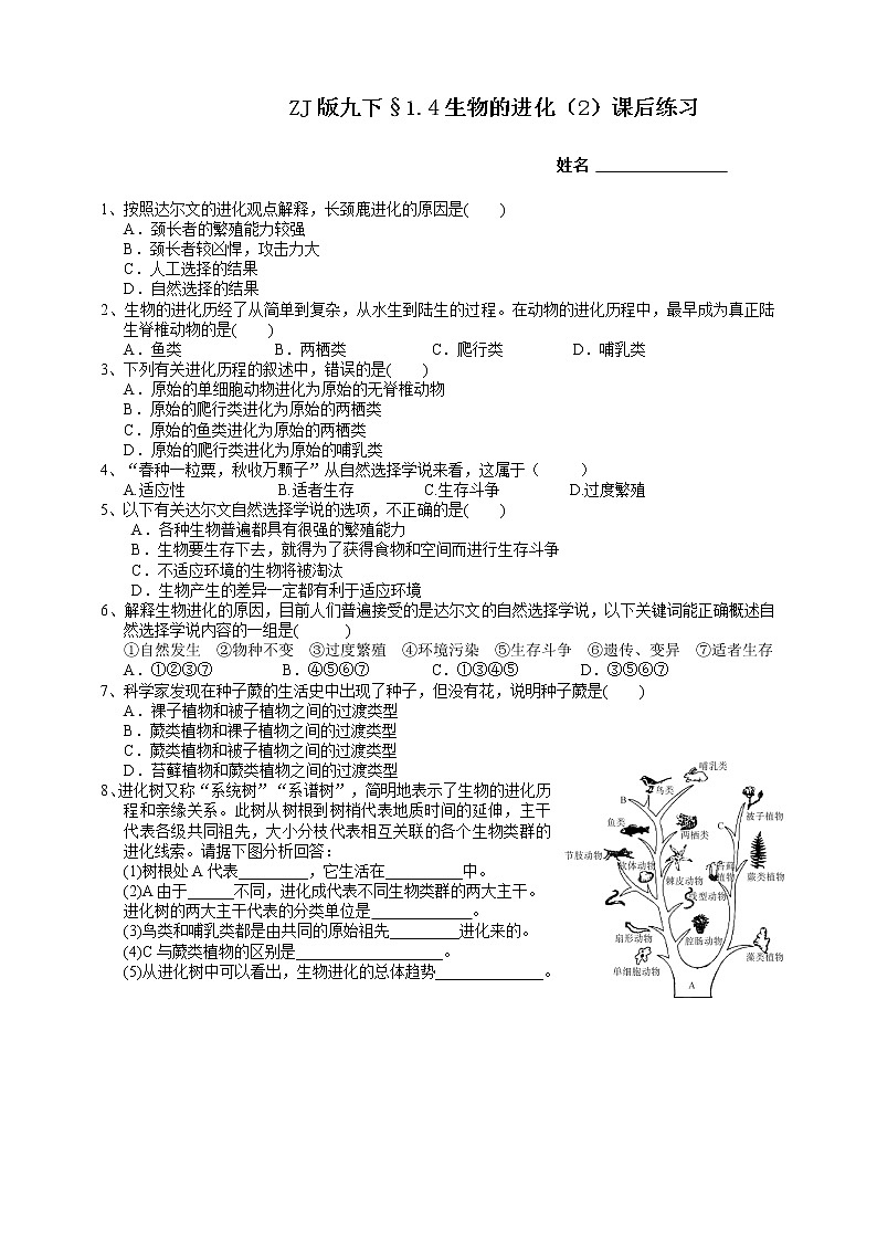 浙教版九下科学  1.4生物的进化 第2课时（课件+预习案+练习）01