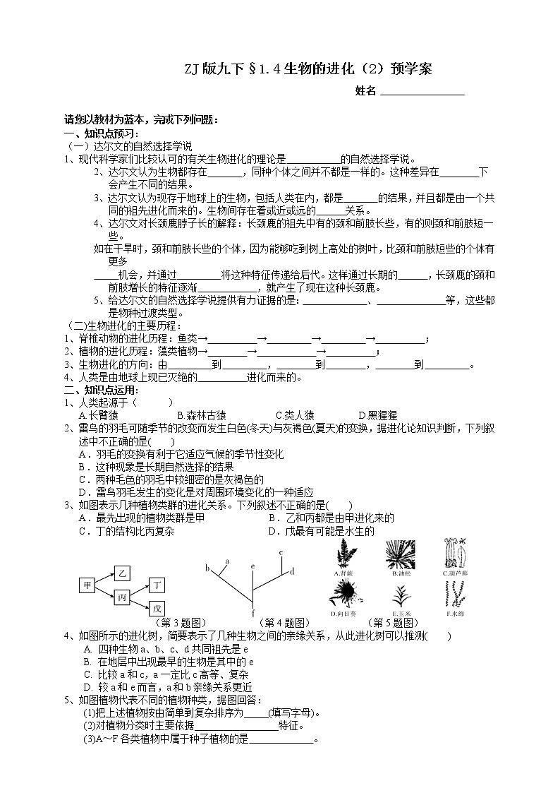 浙教版九下科学  1.4生物的进化 第2课时（课件+预习案+练习）01