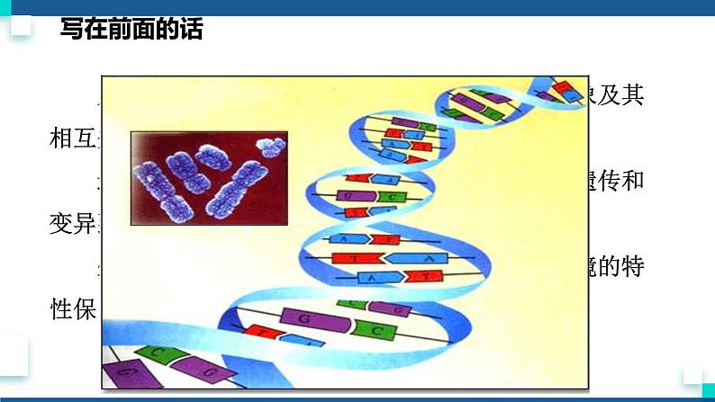 浙教版九下科学  1.5遗传与进化 第1课时（课件+预习案+练习）02