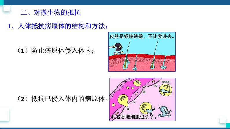 浙教版九下科学  3.3身体的防卫（课件+预习案+练习+视频）03