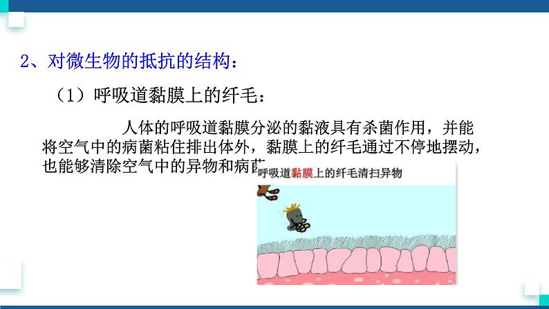 浙教版九下科学  3.3身体的防卫（课件+预习案+练习+视频）05